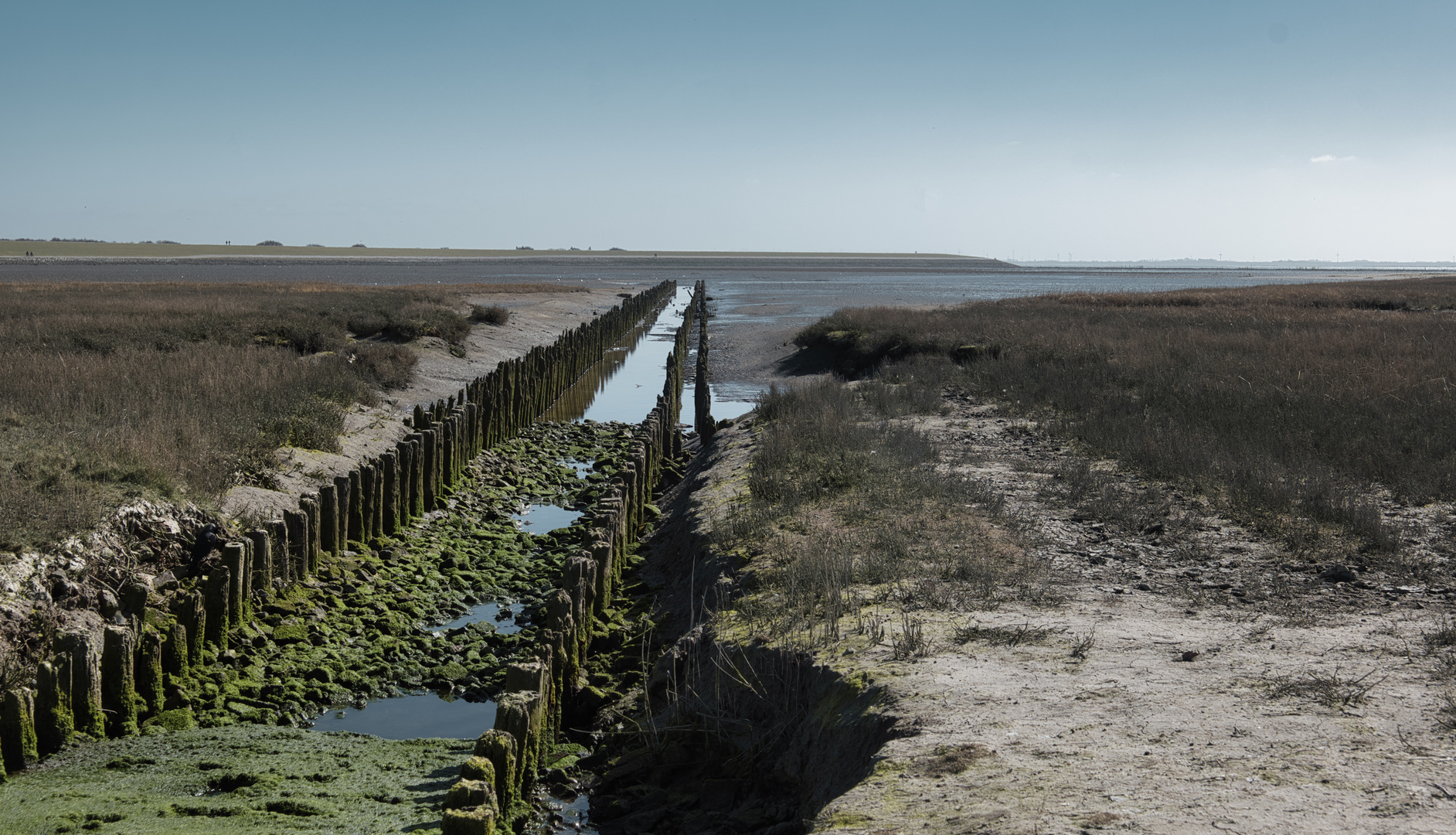 Surferbucht Norderney