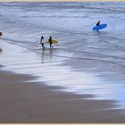 surfers at tynemouth