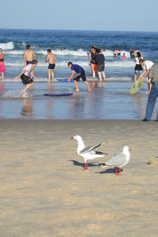 Surfers Paradise 2007 Australia