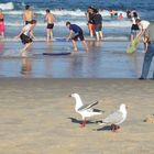 Surfers Paradise 2007 Australia