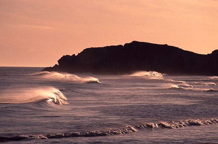 Surfer's Paradise