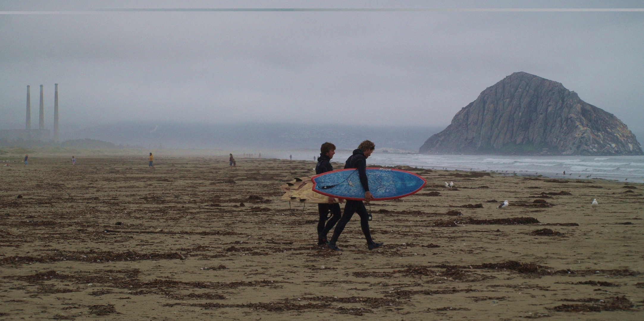 Surfers Paradise Morro Bay