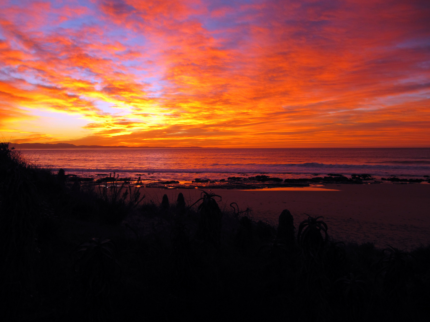 Surfer's Sunrise