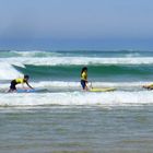 Surfers…en algue  3    --   Junge Surfer   3