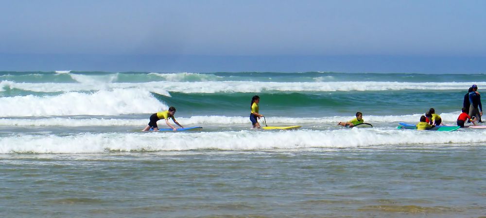 Surfers…en algue  3    --   Junge Surfer   3