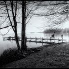 Surfersteg am Starnberger See in s/w