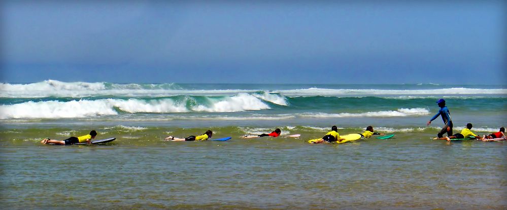 Surfeurs en algue 4  --  Junge Surfer 4