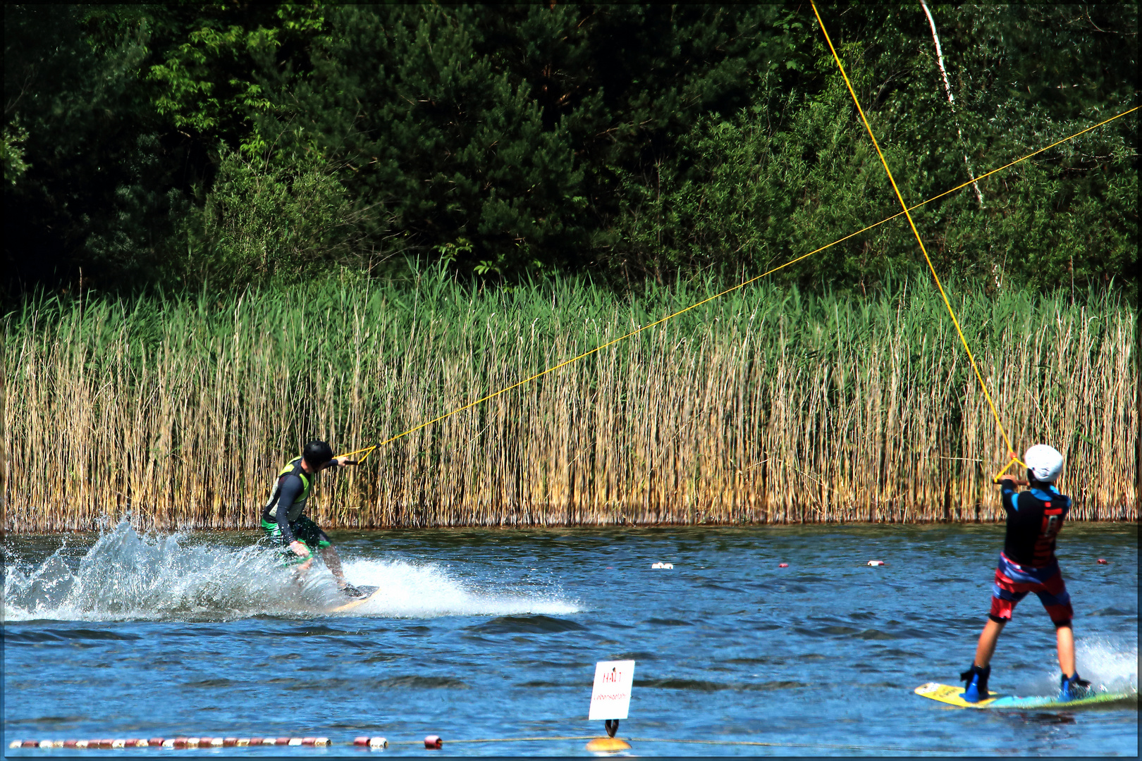 surfin' bernsteinsee