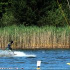 surfin' bernsteinsee