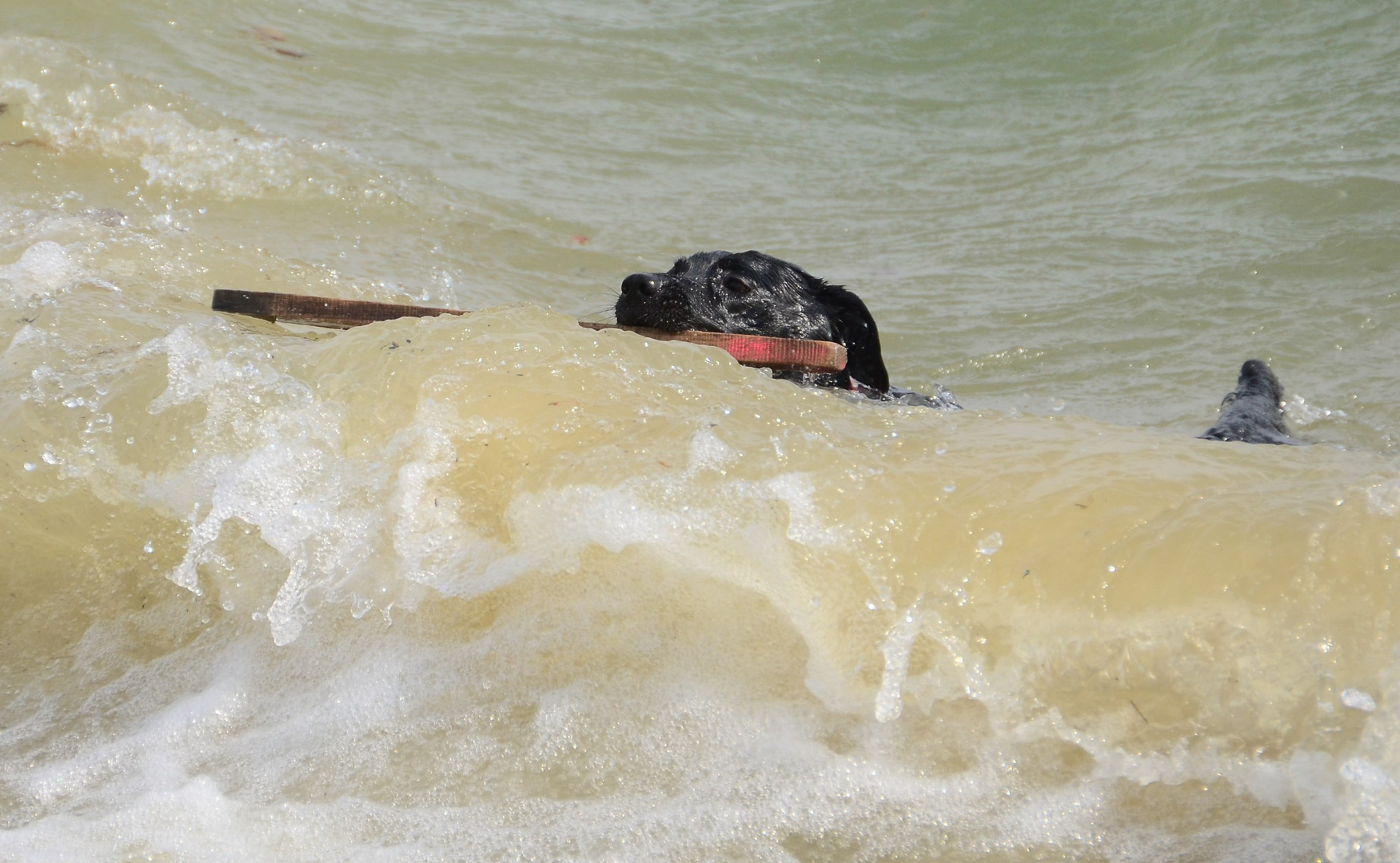 Surfin in NRW