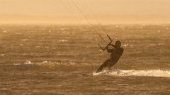 surfin' in the rain