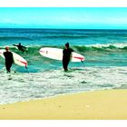 Surfin Long Beach