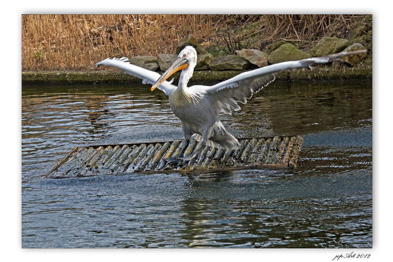 Surfin´ Münsterland....