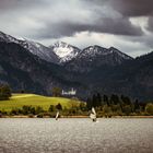 Surfin Neuschwanstein