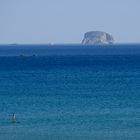 surfin the tasman sea