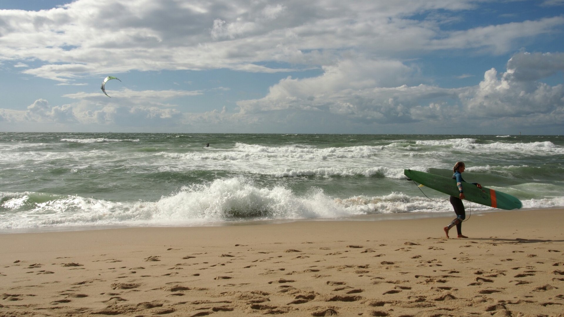 SurfinBird