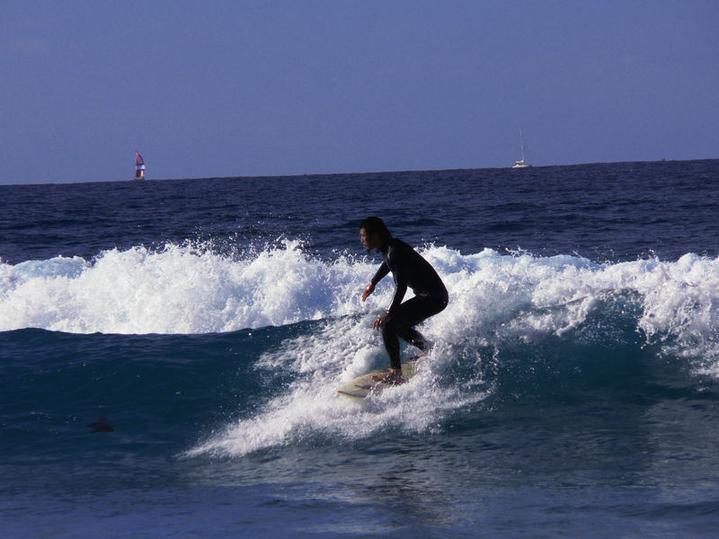 Surfing am Manly Beach in Sydney