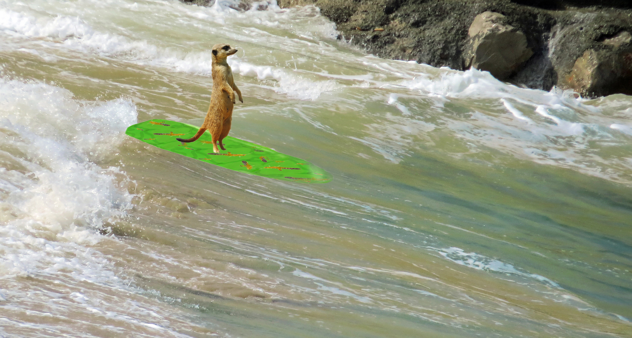 Surfing am persischen Golf