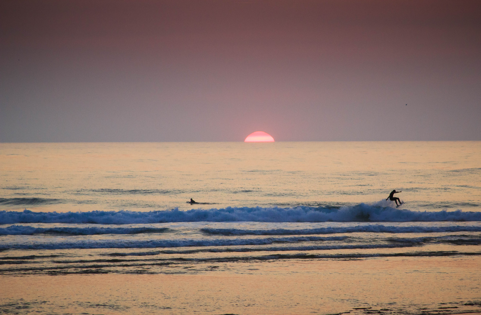 Surfing Cap Ferret 1