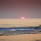 Surfing Cap Ferret 1