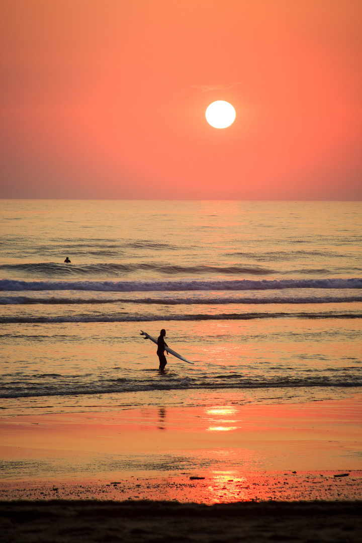 Surfing Cap Ferret 2