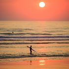 Surfing Cap Ferret 2