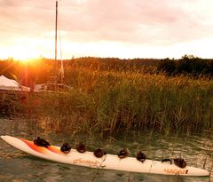 Surfing ducks enjoying the sunset