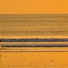 Surfing in Bali