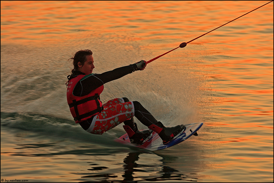 surfing in gold