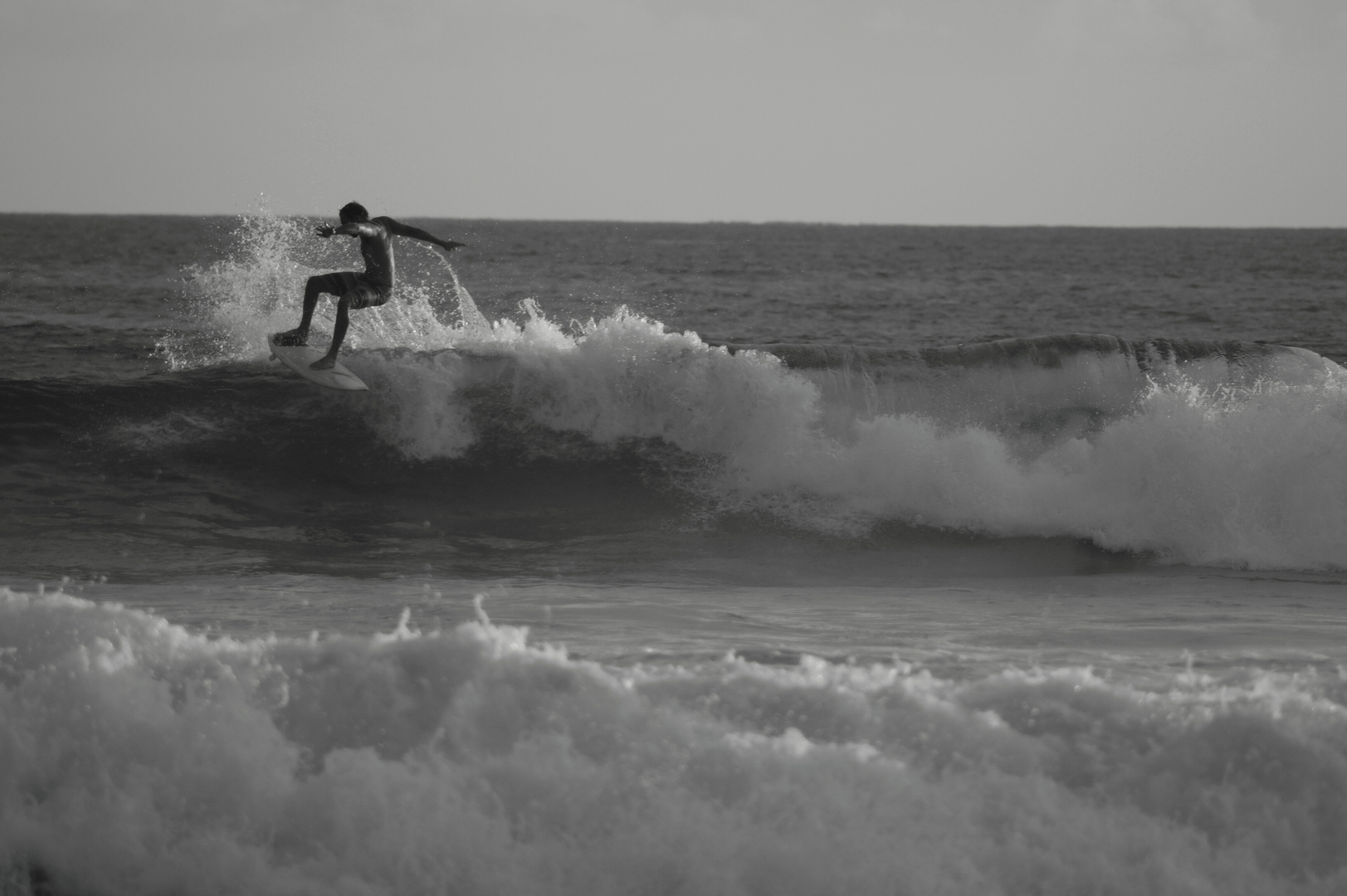 - Surfing in Hawaii - S/W