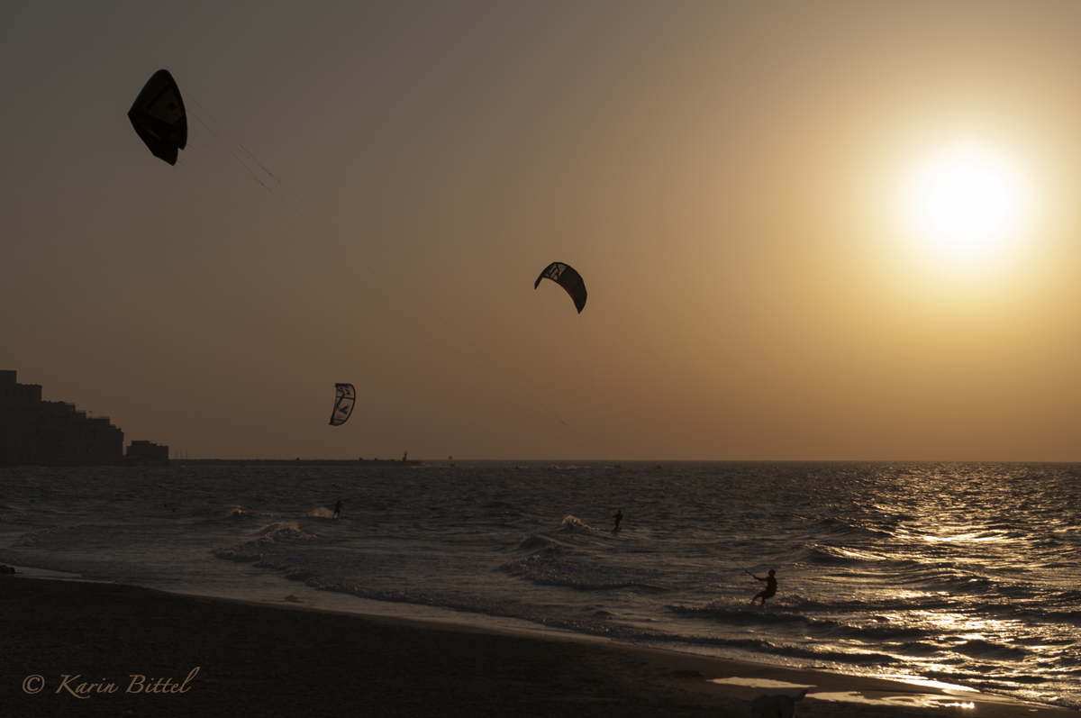 surfing in tel aviv