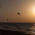 surfing in tel aviv