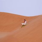 ..surfing in the dessert..