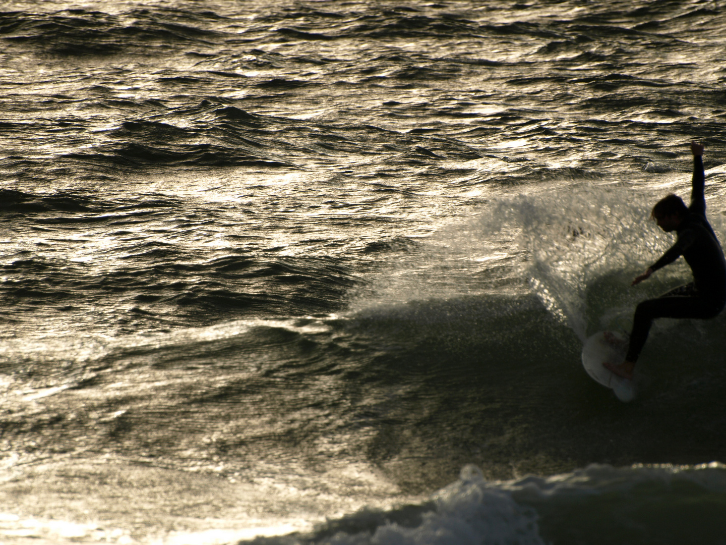 Surfing in the sunset