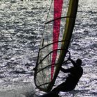 surfing Man standing