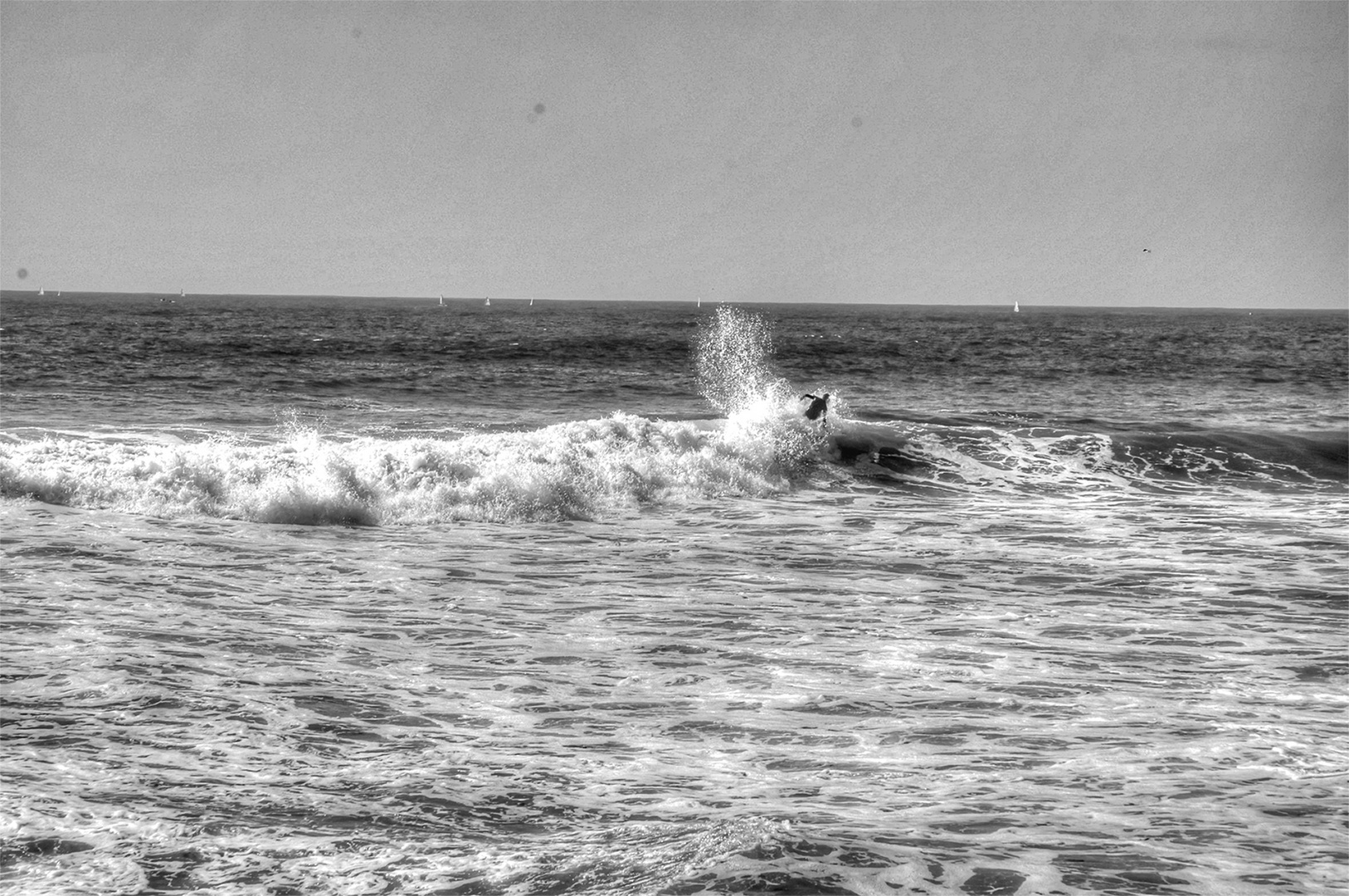 surfing on santa monica beach