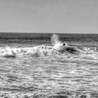 surfing on santa monica beach