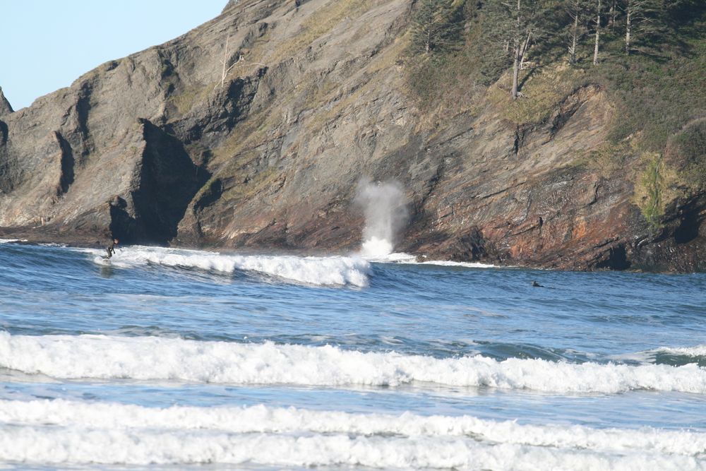 Surfing Oregon