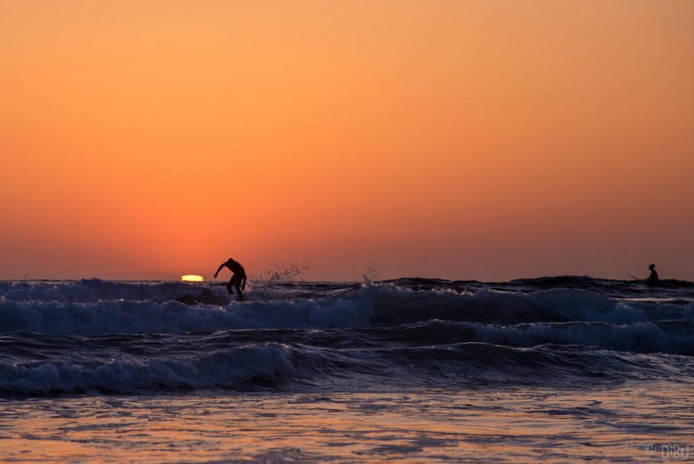 Surfing sun