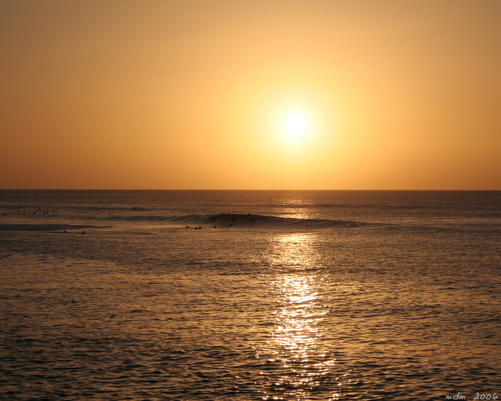 Surfing Sunset