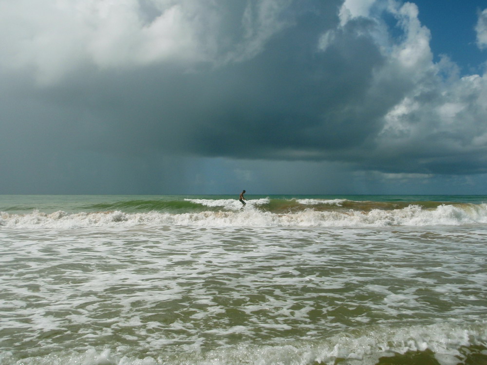 SURFING THE WAVES