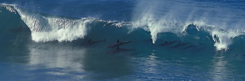 Surfing the waves!