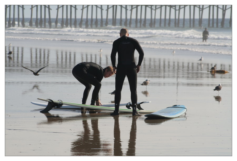 surfing usa