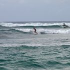 Surfin´Hawaii