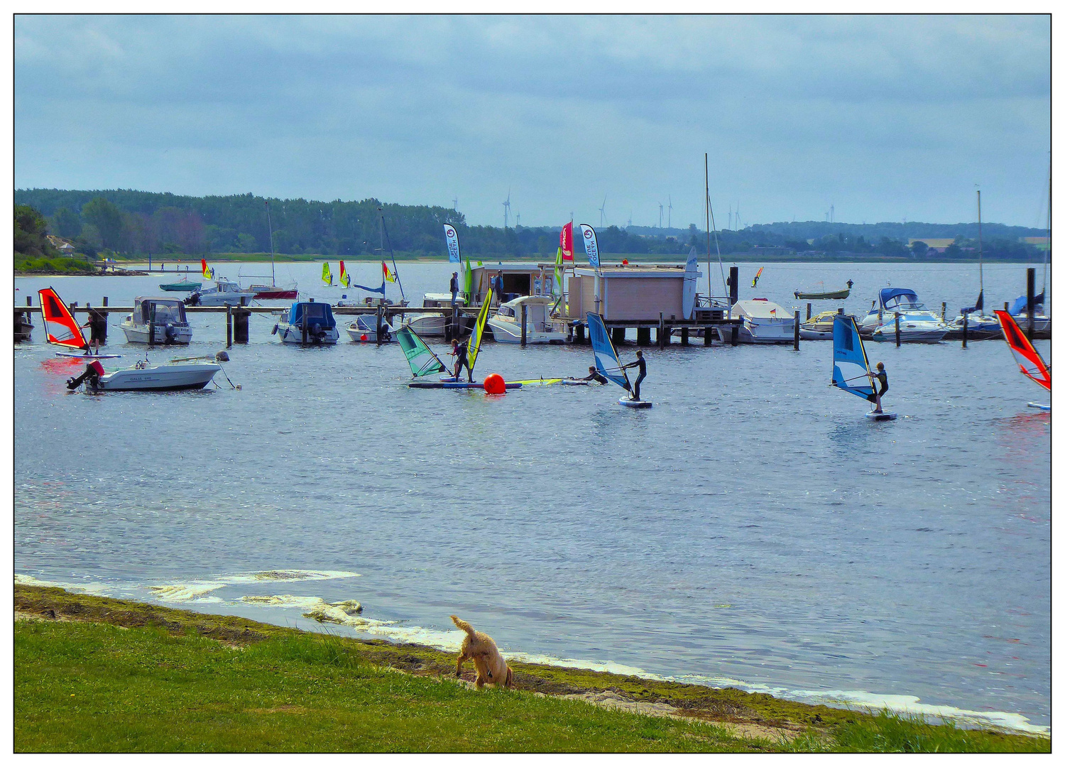 Surfschule an der Ostsee