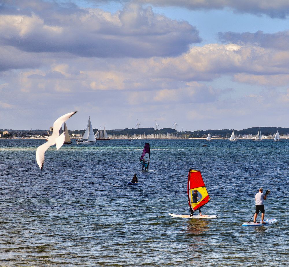 Surfschule auf der Kieler Förde