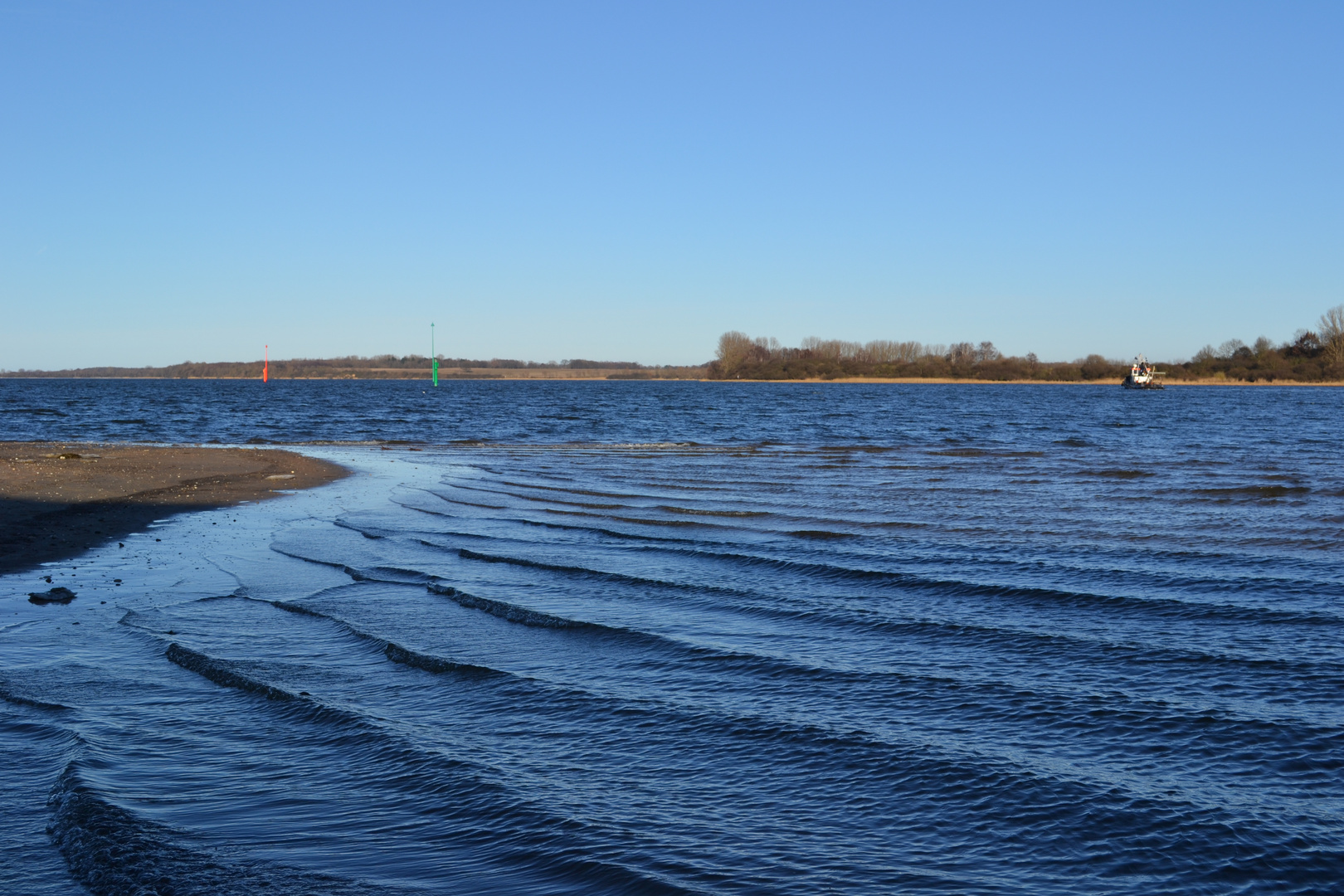 Surfwellen für Mäuse