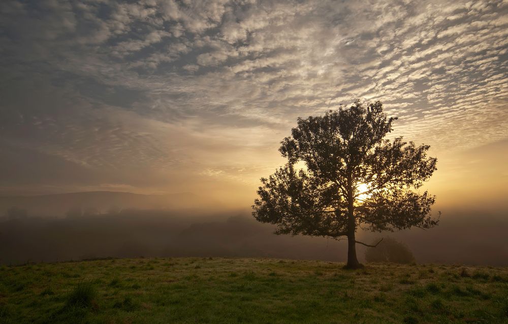 Surgiendo de la niebla by Miquel oly 