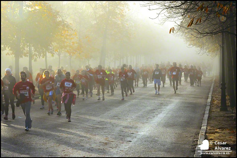 Surgieron de la niebla