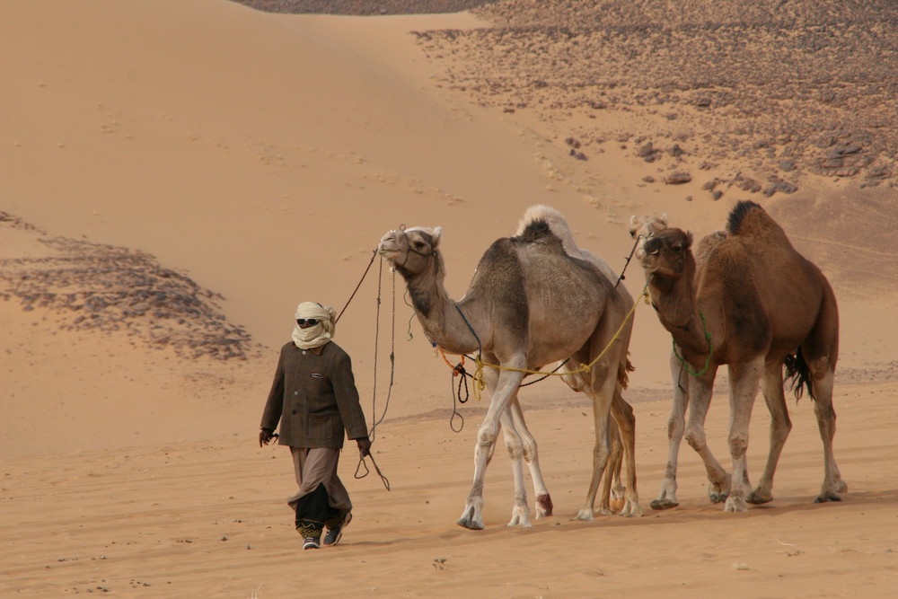 Suri mit seinen Kamelen im Akkakus